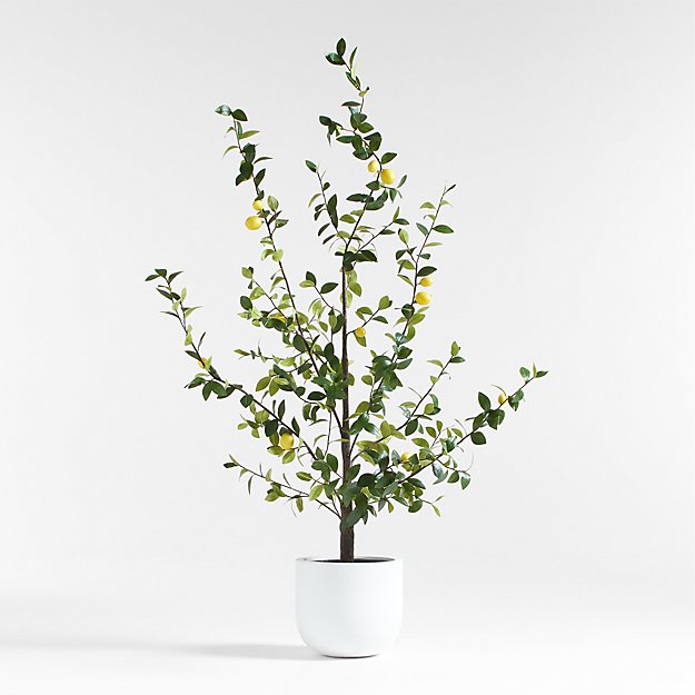クレートアンドバレル　ツリー potted-faux-lemon-tree-7.5.jpg