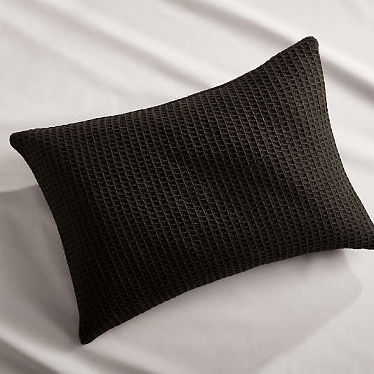 Lindstrom Black Bed Pillow 22x15 Pillow with Down-Alternative Insert