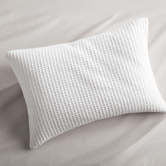 Lindstrom White Bed Pillow 22x15 Pillow with Down-Alternative Insert