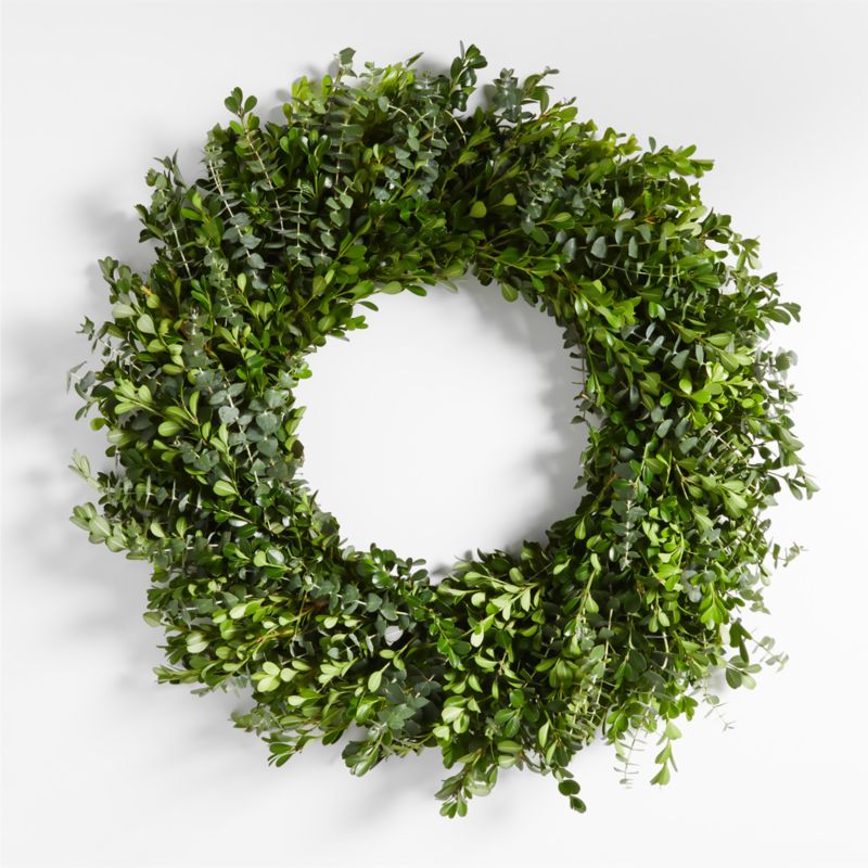 Live Boxwood & Baby Blues Wreath 24" - image 0 of 5