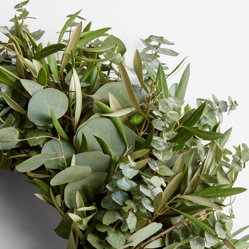 Live Eucalyptus & Olive Wreath 20" - image 2 of 4