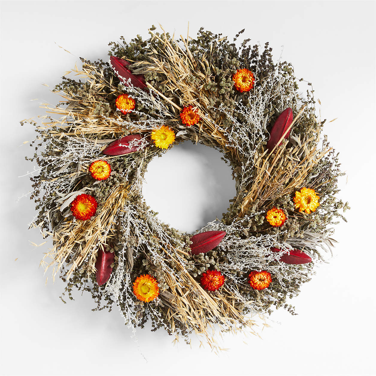 Live Fall Strawflower Wreath 22" Crate & Barrel
