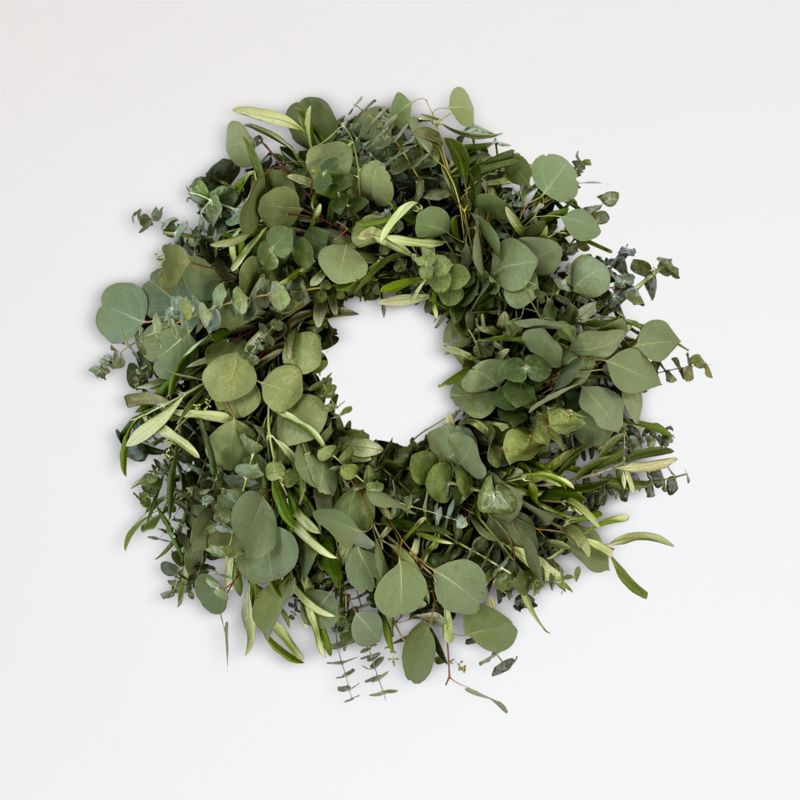 Live Eucalyptus & Olive Wreath 20" - image 0 of 4