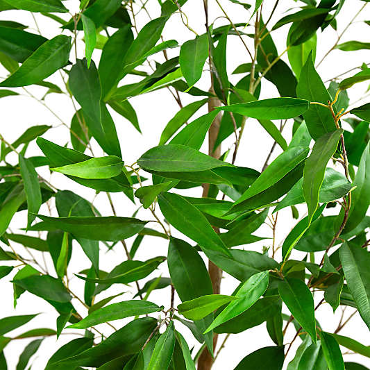 Faux Long Leaf Greco Eucalyptus Tree 7'