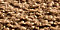 Sesame Brown Sherpa