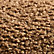 Sesame Brown Sherpa