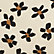 New! Cheeta Floral