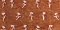 Terracotta Floral