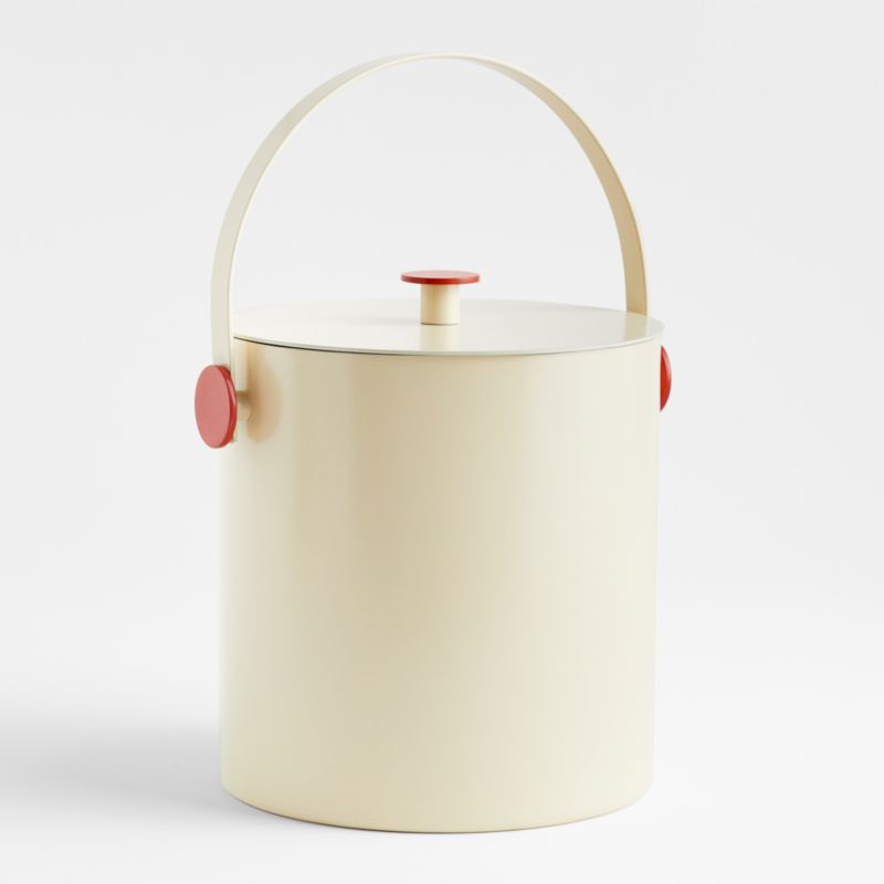 The Ice Bucket by Molly Baz Crate & Barrel Canada