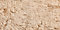 Camel Tan