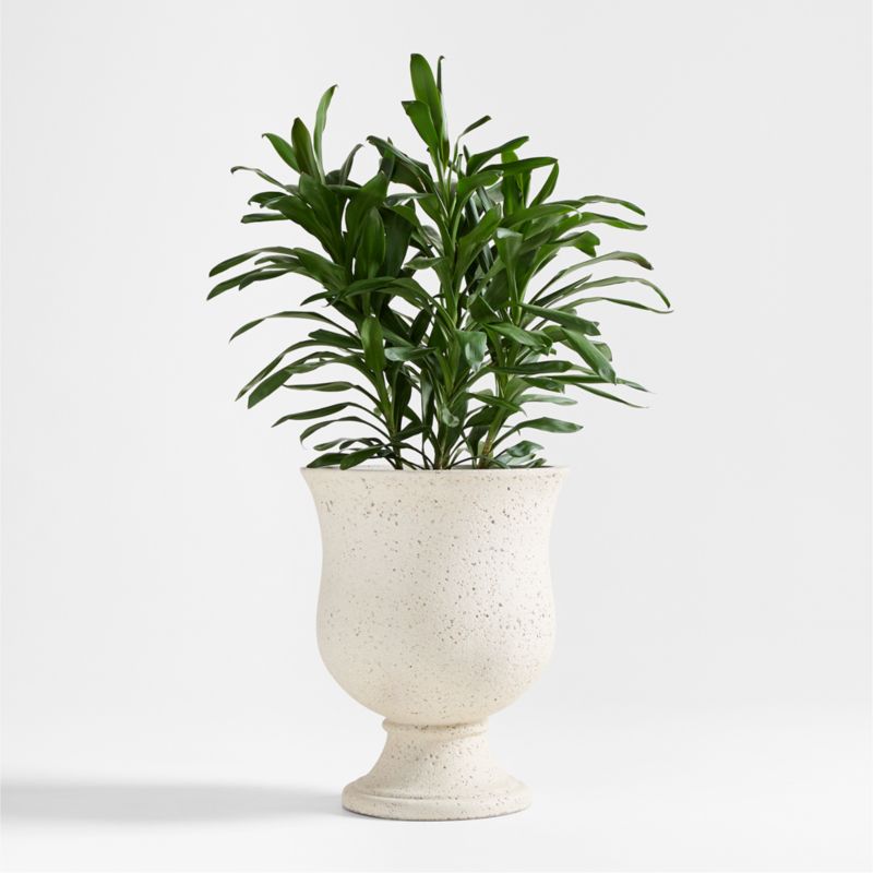 Malta Ivory Indoor/Outdoor Planter 21"x17.5"