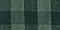 Spruce Green Buffalo Check