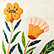 White/Orange