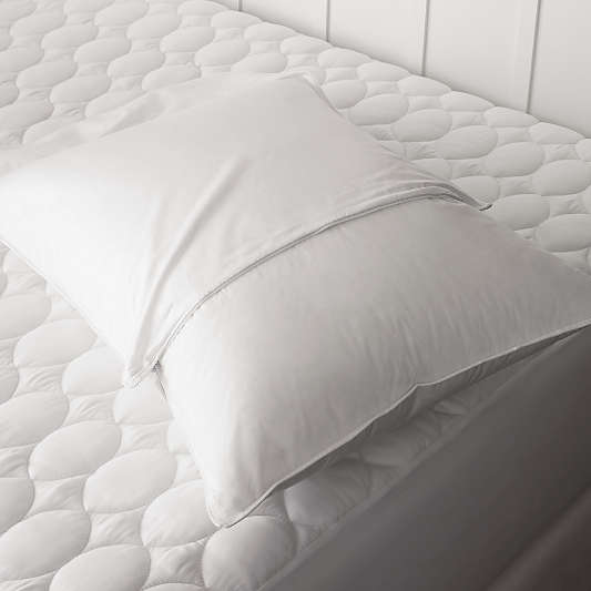 Pillow Protectors, Set of 2