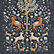 Midnight