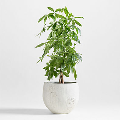 View Messina White Textured Indoor/Outdoor Planter 21"x21" details