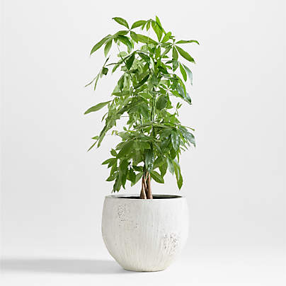 Messina White Textured Indoor/Outdoor Planter 21"x21"