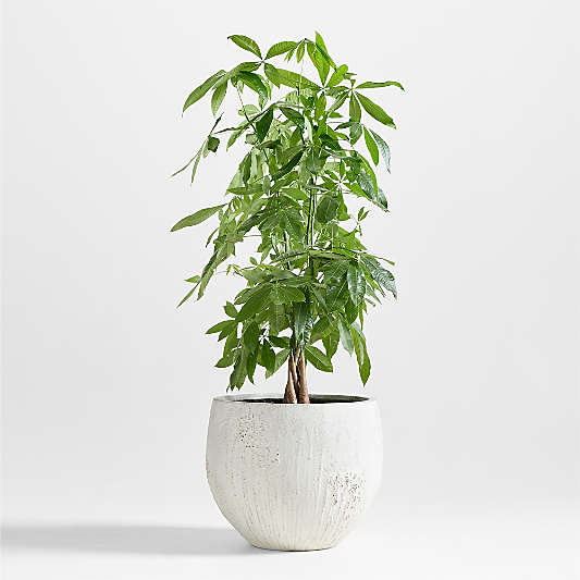 Messina White Textured Indoor/Outdoor Planter 21"x21"