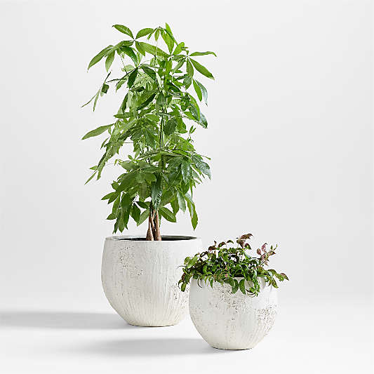Messina White Textured Indoor/Outdoor Planters