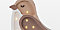 Coffee Beige Mini Bird