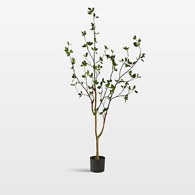 View Faux Minimalist Citrus Tree 5' details