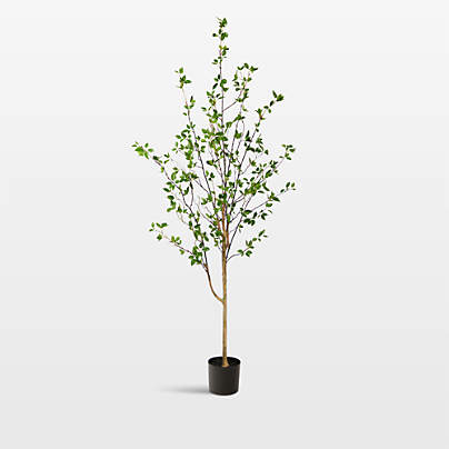 Faux Minimalist Citrus Tree 6.5'