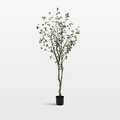 Faux Minimalist Citrus Tree 8'