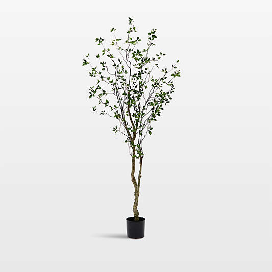 Faux Minimalist Citrus Tree 8'