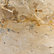 Fossil Beige Marble