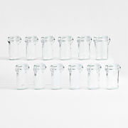 Mini Oval Spice-Herb Jars with Clamp Set of 12