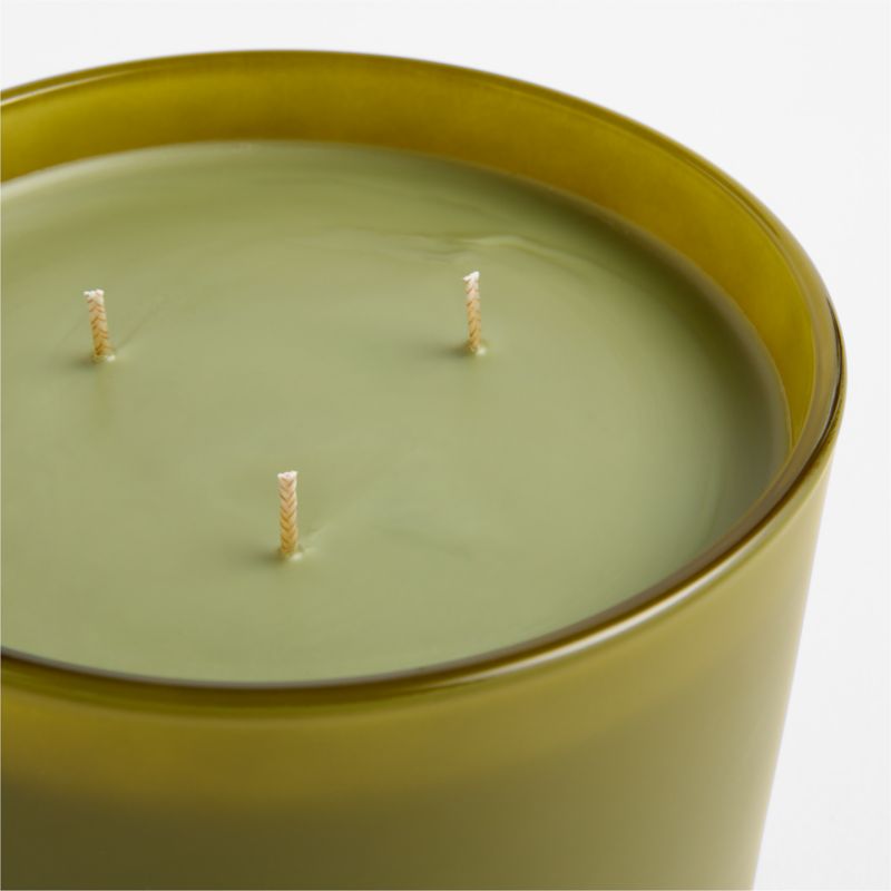 Monochrome No. 17 Verde 3-Wick Scented Candle - Currant, Green Fig and Birch - image 5 of 6