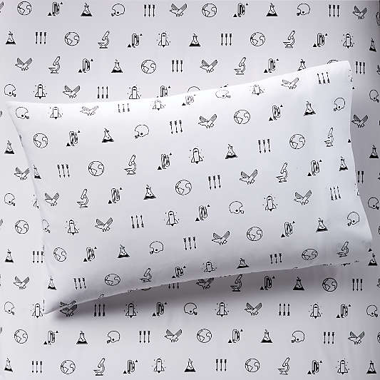 Organic Modern Graphic Pillowcase