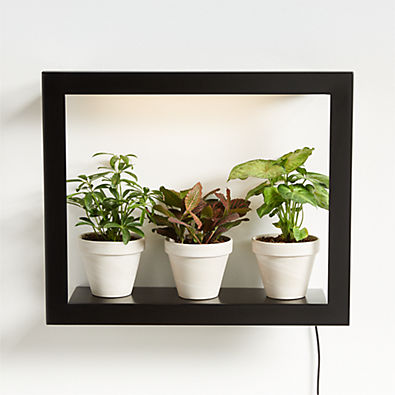 View Modern Sprout Grow Frame details