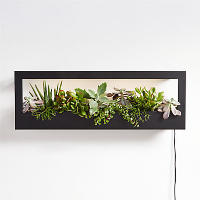 View Modern Sprout Landscape Grow Frame details