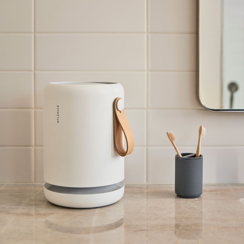 Molekule Air Mini+ Air Purifier with PECO-HEPA Tri-Power filter - image 1 of 4