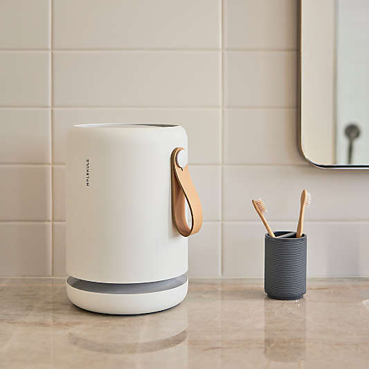 Molekule Air Mini+ Air Purifier with PECO-HEPA Tri-Power filter