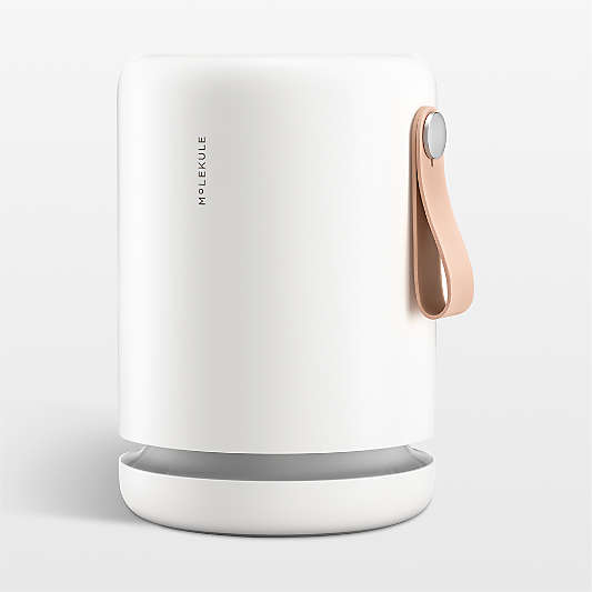 Molekule Air Mini+ Air Purifier with PECO-HEPA Tri-Power filter