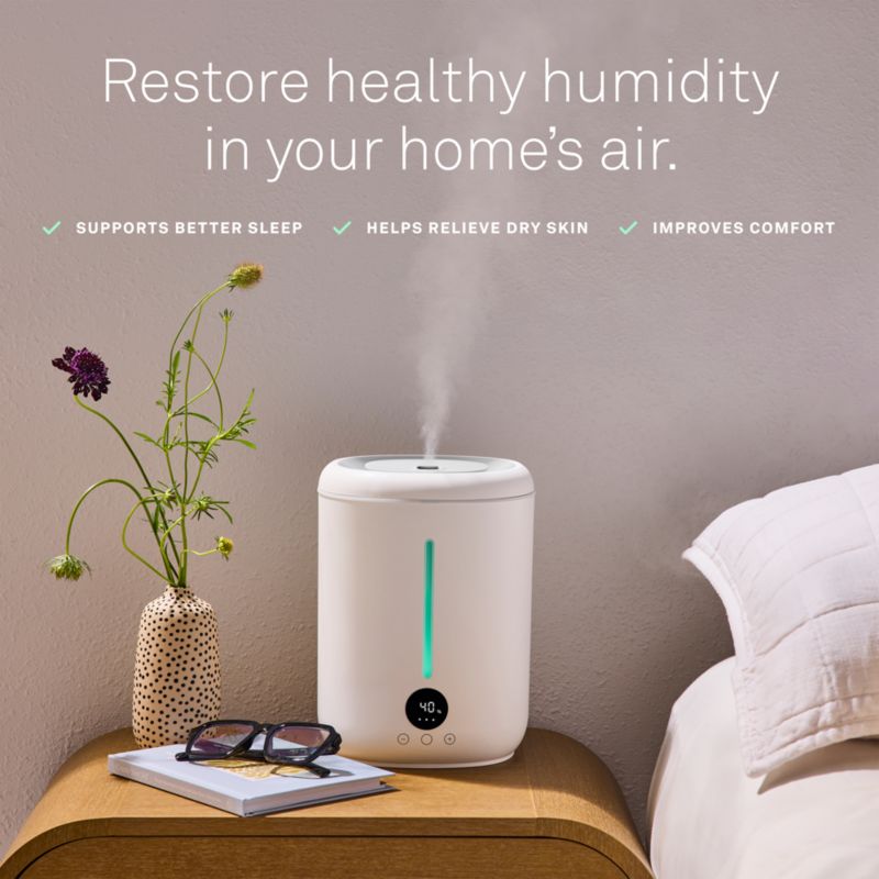 Molekule Glow Humidifier - image 1 of 6