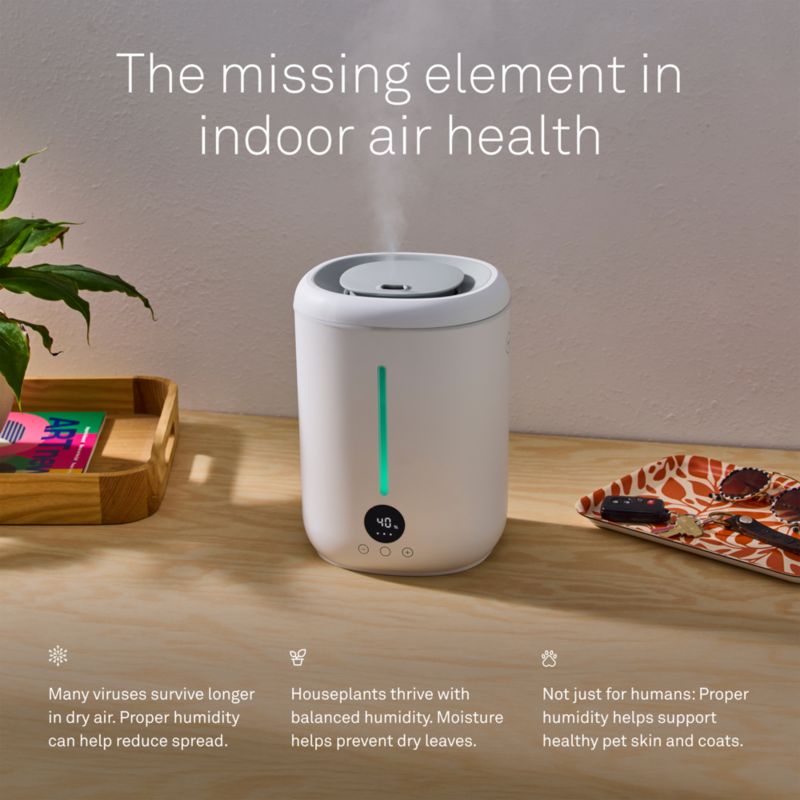 Molekule Glow Humidifier - image 2 of 6