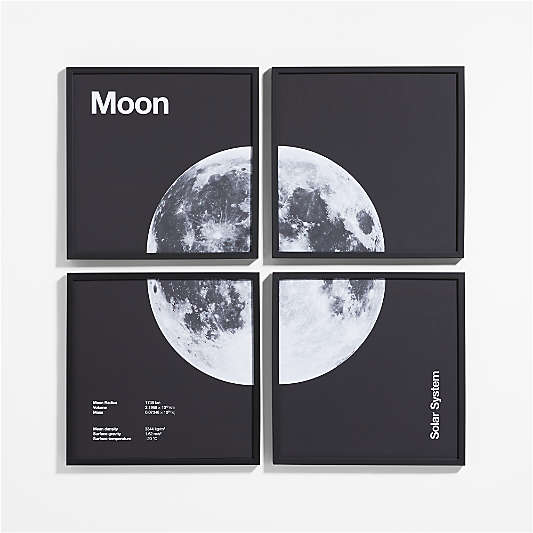 Moon 4-Piece Framed Wall Art Print