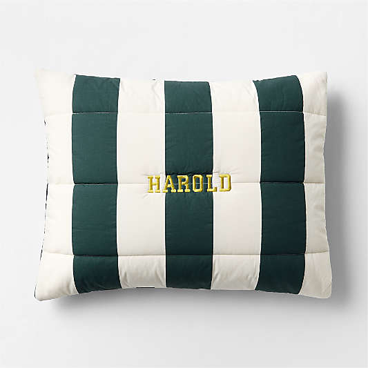 Match Point Deep Jade Stripe Reversible Organic Cotton Kids Pillow Sham by Venus Williams