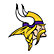 Minnesota Vikings