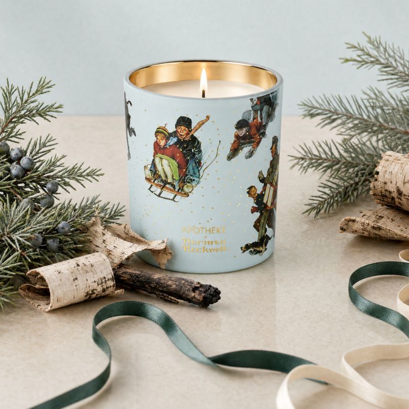Apotheke x Norman Rockwell Juniper Birch 1-Wick Scented Candle - image 1 of 4