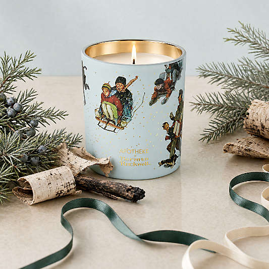 Apotheke x Norman Rockwell Juniper Birch 1-Wick Scented Candle