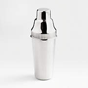 The Elevated Craft Cocktail Shaker