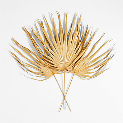 View Dried Palm Fronds, Set of 3 details