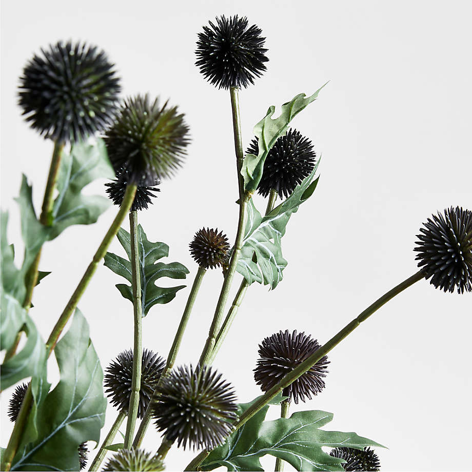 Plant in Ceramic Pot, 6 inch (syle varies) — Thistle Floral