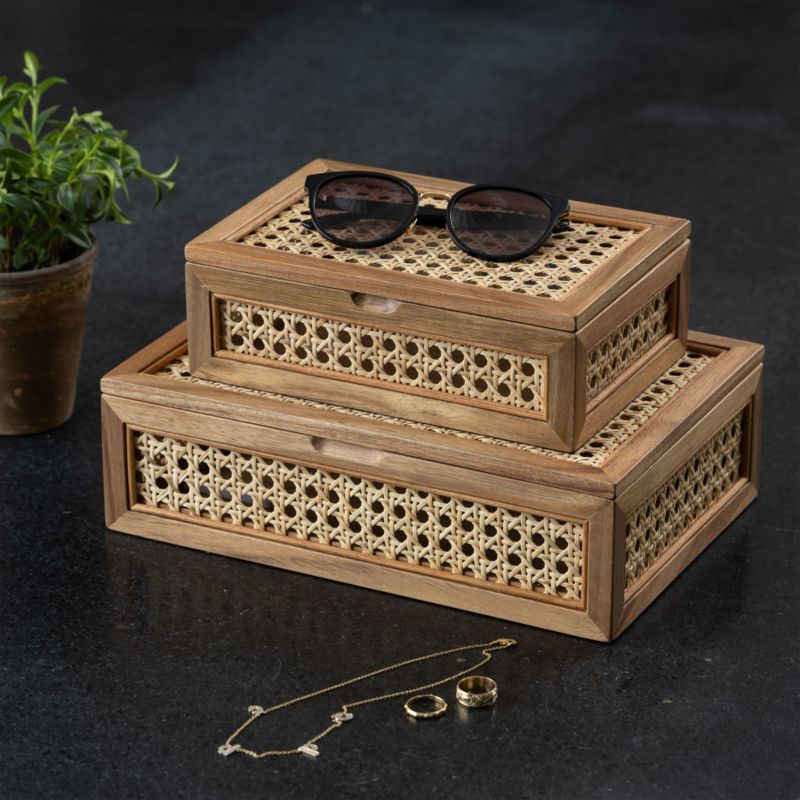 Decorative Boxes with Lids (Set of 2)