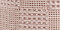 New! Lilac Rose Checker