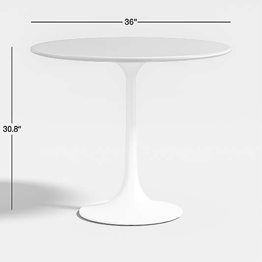 Nero 36" Round Concrete Dining Table with White Base
